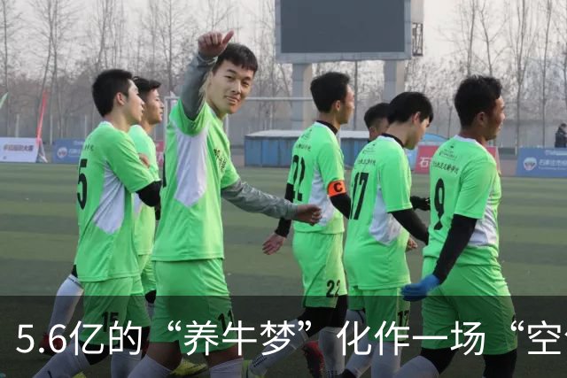 5.6亿的“养牛梦”化作一场“空气牛”的泡沫悲歌